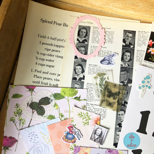 Collected Curiosities No. 08 – Squirrels & Snails Mix (8×12)