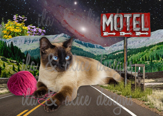 Funny Sci Fi Animals in Surreal Collage Art Postcards Post Cards ila & alice