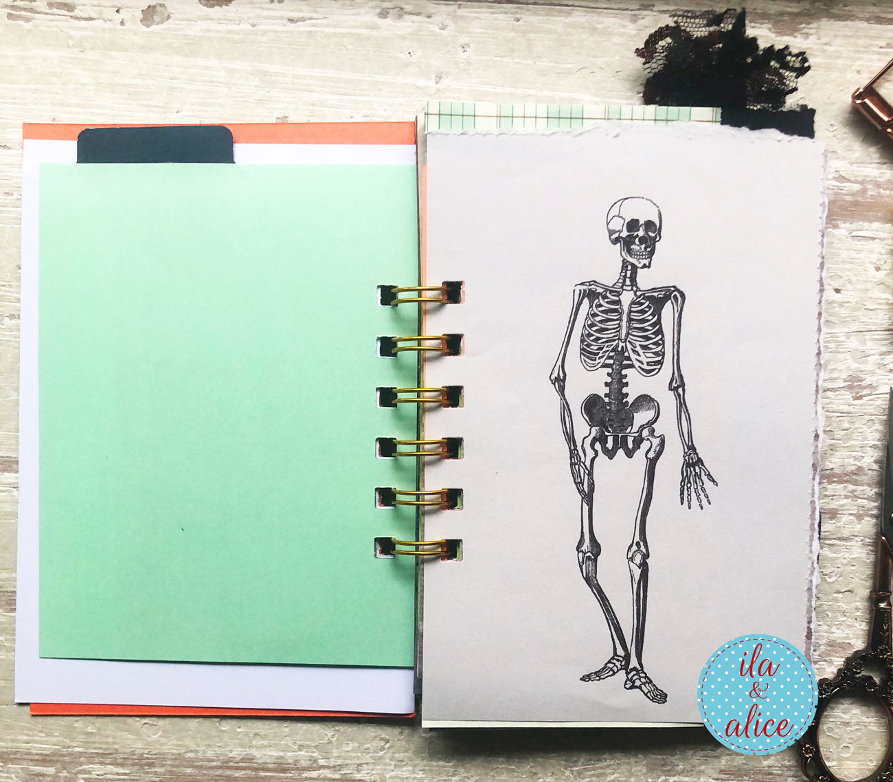A handmade spiral-bound notebook or planner page set displayed on a rustic wooden surface. The right page features a black ink illustration of a human skeleton, while the left page is a large light green sheet with orange and white backing.