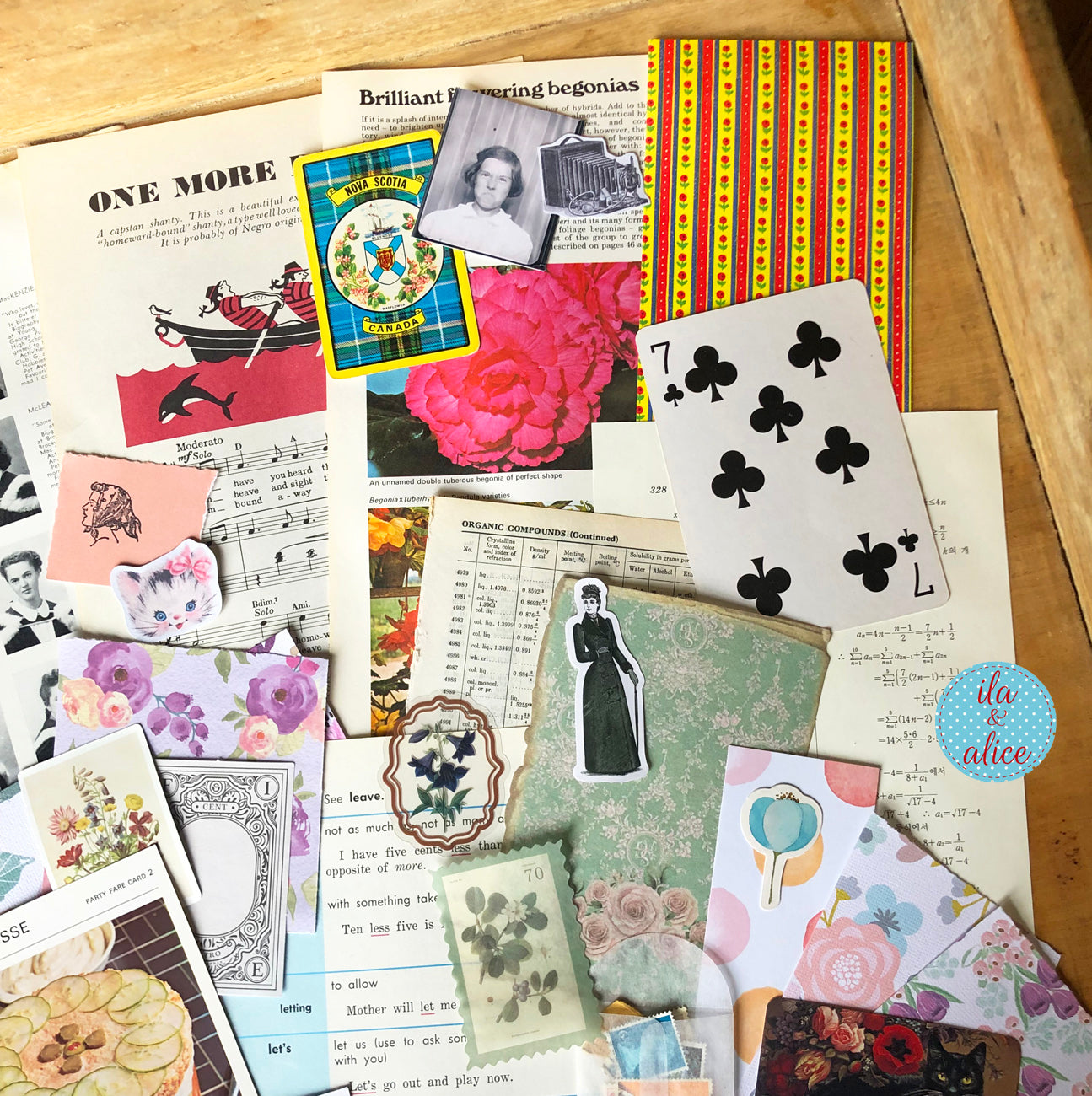 Curated 8x12 junk journal ephemera pack with layered papers, botanical elements, and tuck-able pieces. Vintage pieces of ephemera and vintage book pages included.