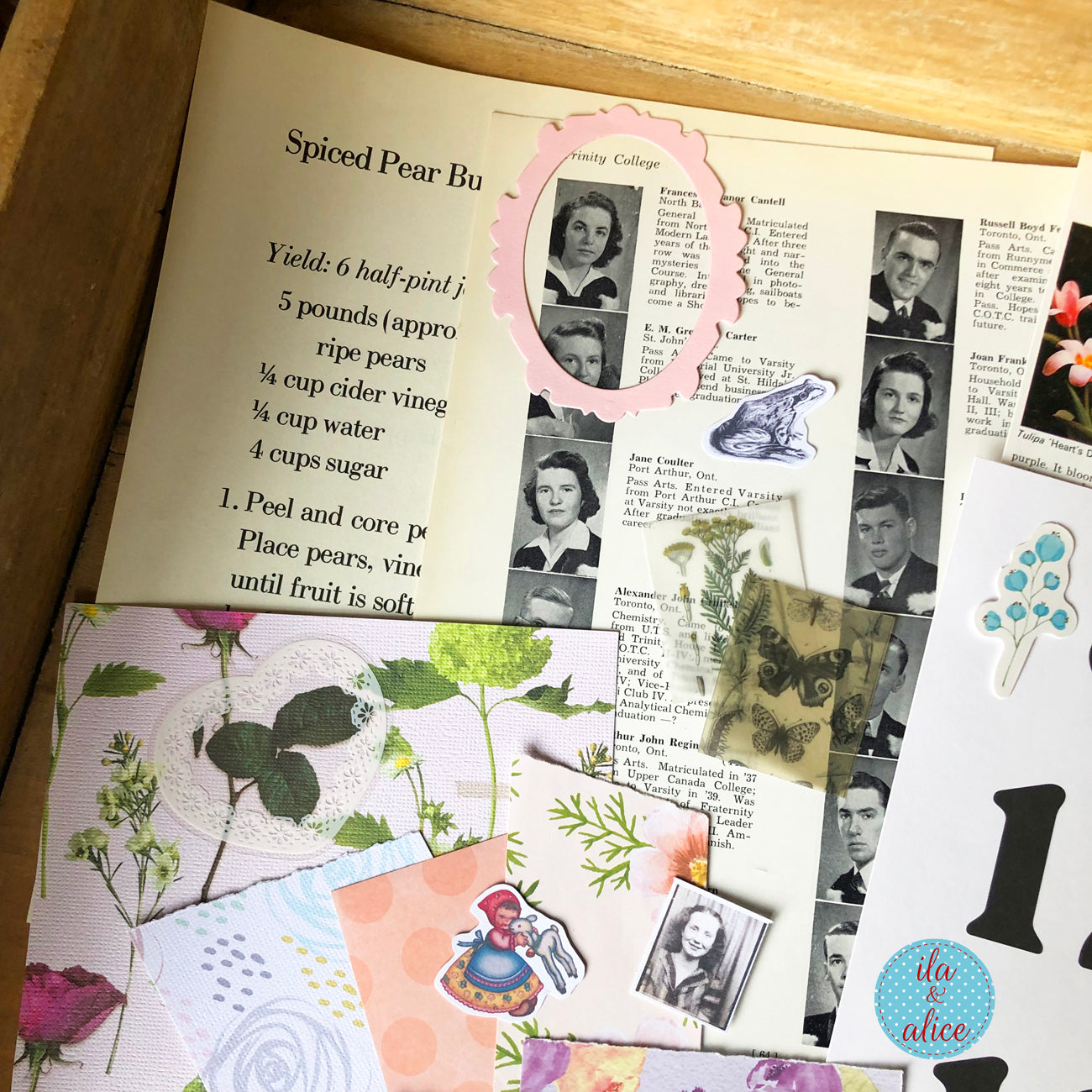 Collected Curiosities No. 08 – Squirrels & Snails Mix (8×12)