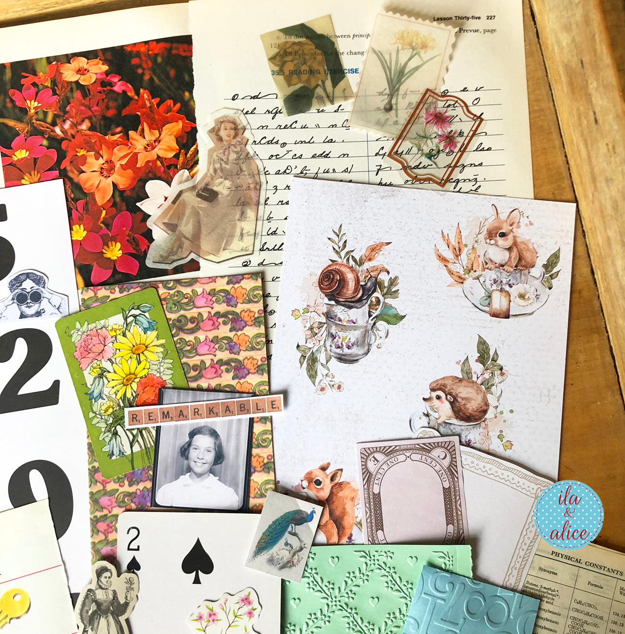 Collected Curiosities No. 08 – Squirrels & Snails Mix (8×12)