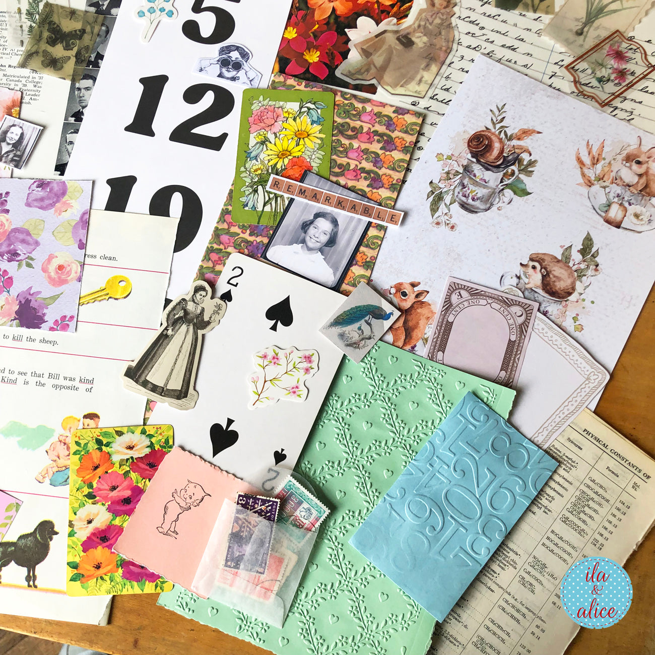 Collected Curiosities No. 08 – Squirrels & Snails Mix (8×12)