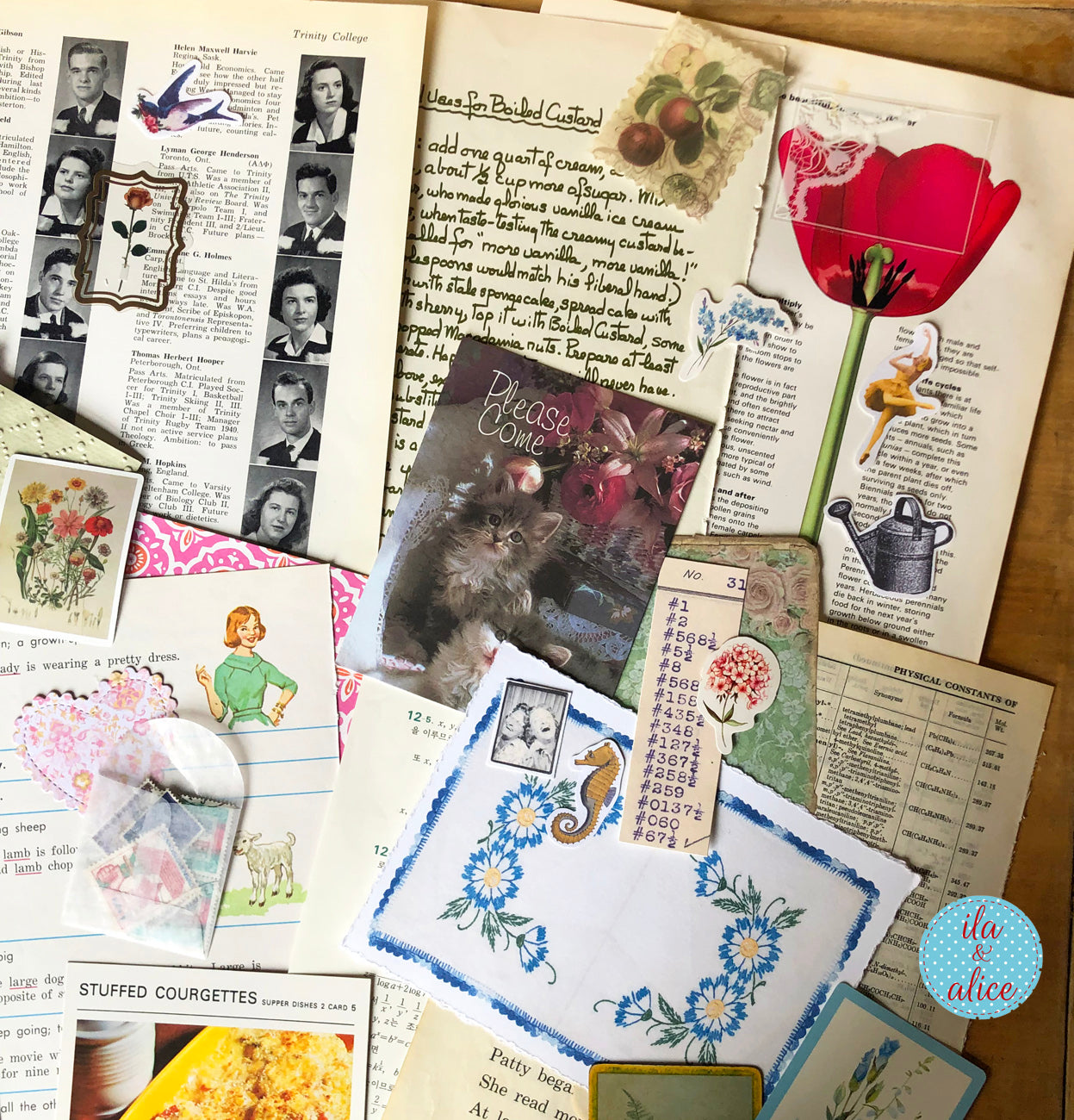 Curated 8x12 junk journal ephemera pack with layered papers, botanical elements, and tuck-able pieces. Vintage pieces of ephemera and vintage book pages included.