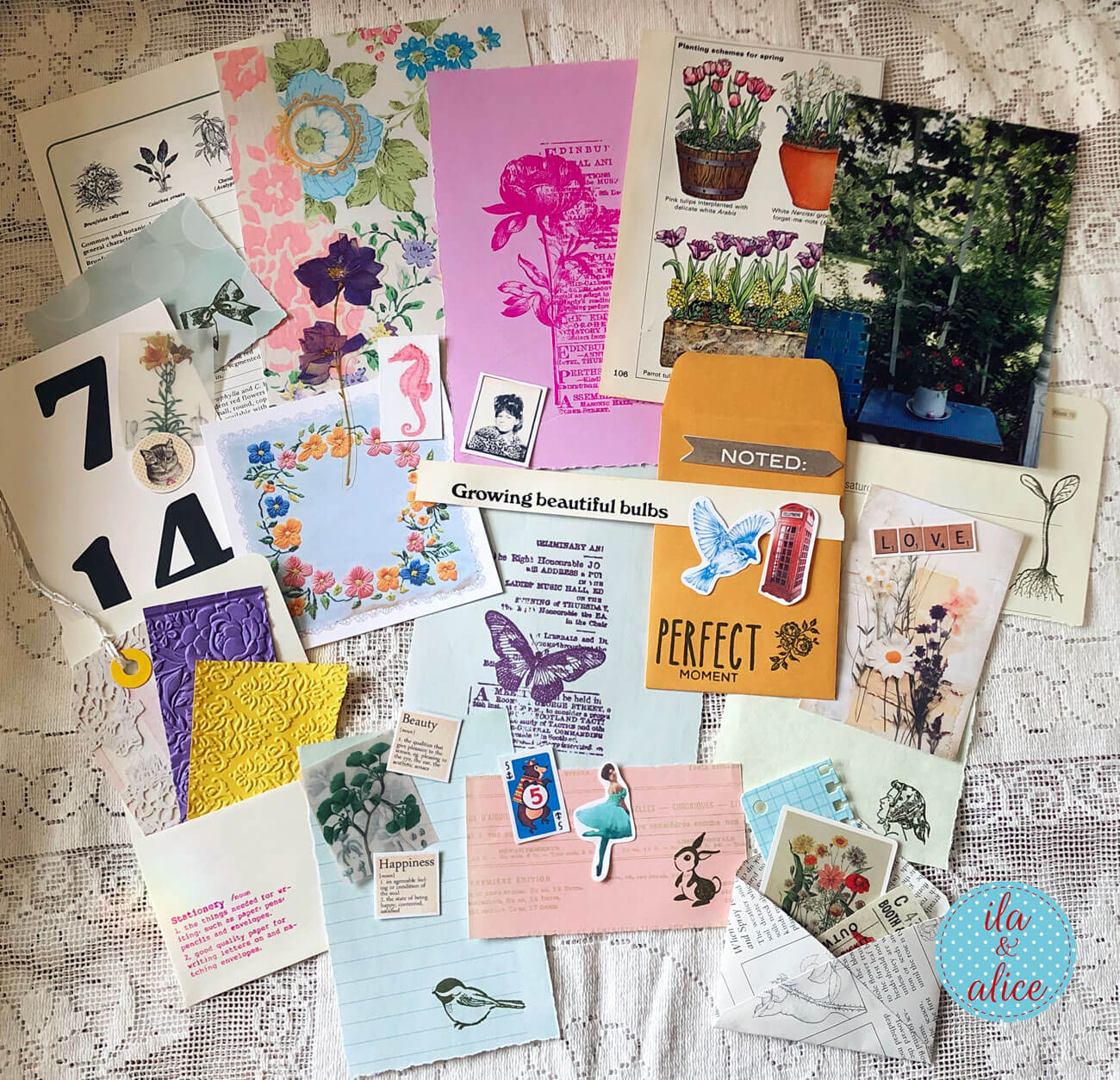 Curiosities No. 12– Cottage Greenhouse Mix · Pocket
