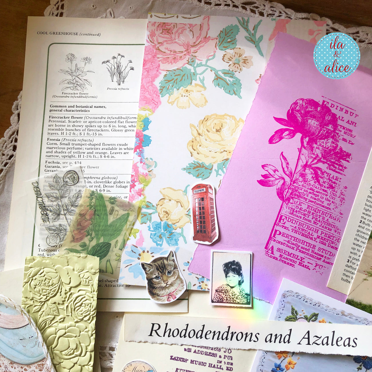 Curated 6x9 junk journal ephemera pack with layered papers, botanical elements, and tuck-able pieces. Vintage pieces of ephemera and vintage book pages included.