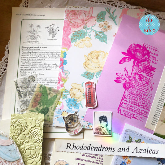 Curated 6x9 junk journal ephemera pack with layered papers, botanical elements, and tuck-able pieces. Vintage pieces of ephemera and vintage book pages included.