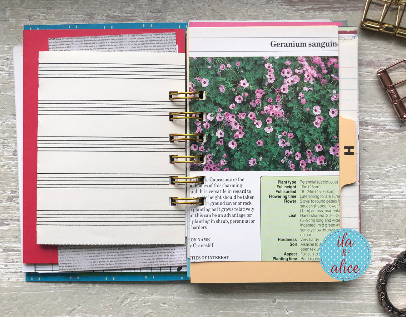 Open planner with floral and musical notes pages on a wooden surface