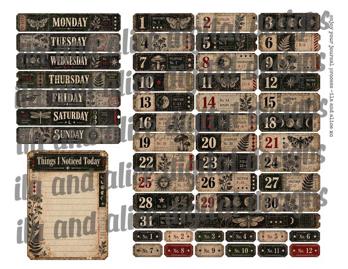 Midnight Findings | Printable Gothic Journaling Ephemera Kit