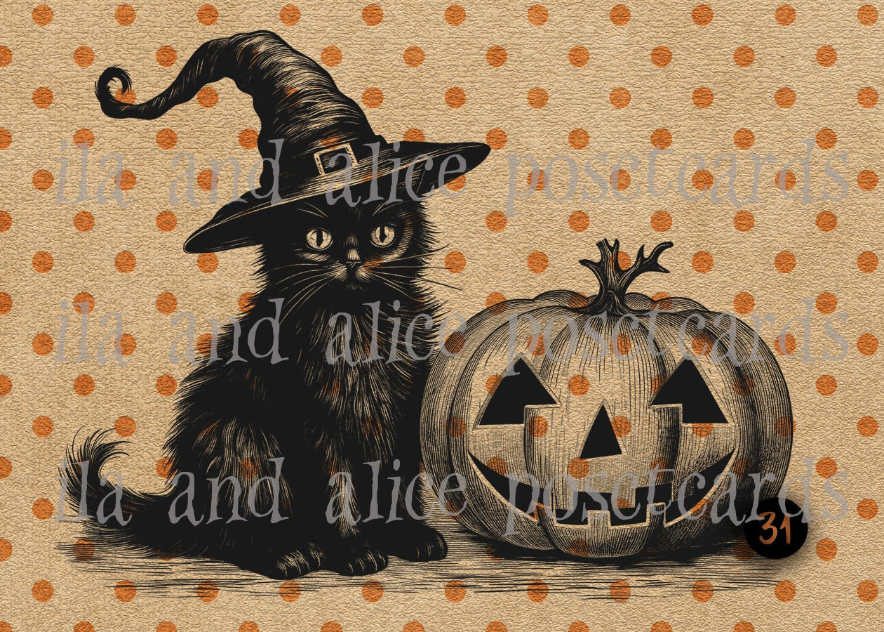 Black Cats and Orange Polka Dots Halloween Postcards Post Cards ila & alice 