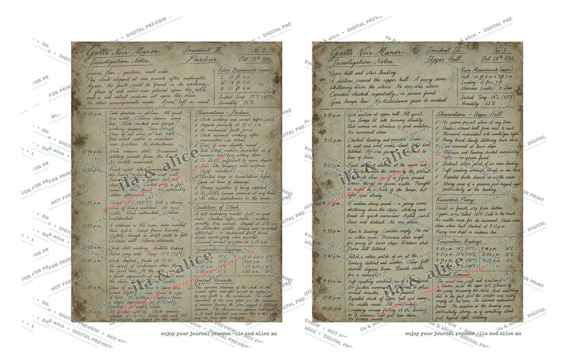 Preview of two aged handwritten gothic journal pages from Gatto Noir Manor