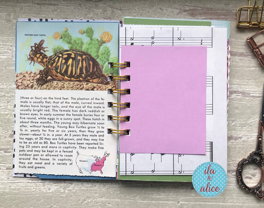 Planner with nature-themed pages on a wooden surface, featuring a tortoise illustration and music notes.