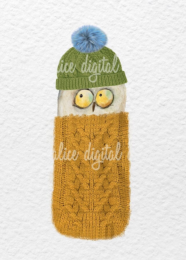 Cute Owls in Sweaters Postcards Post Cards ila & alice 