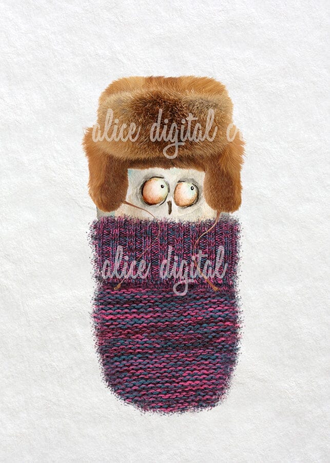 Cute Owls in Sweaters Postcards Post Cards ila & alice 