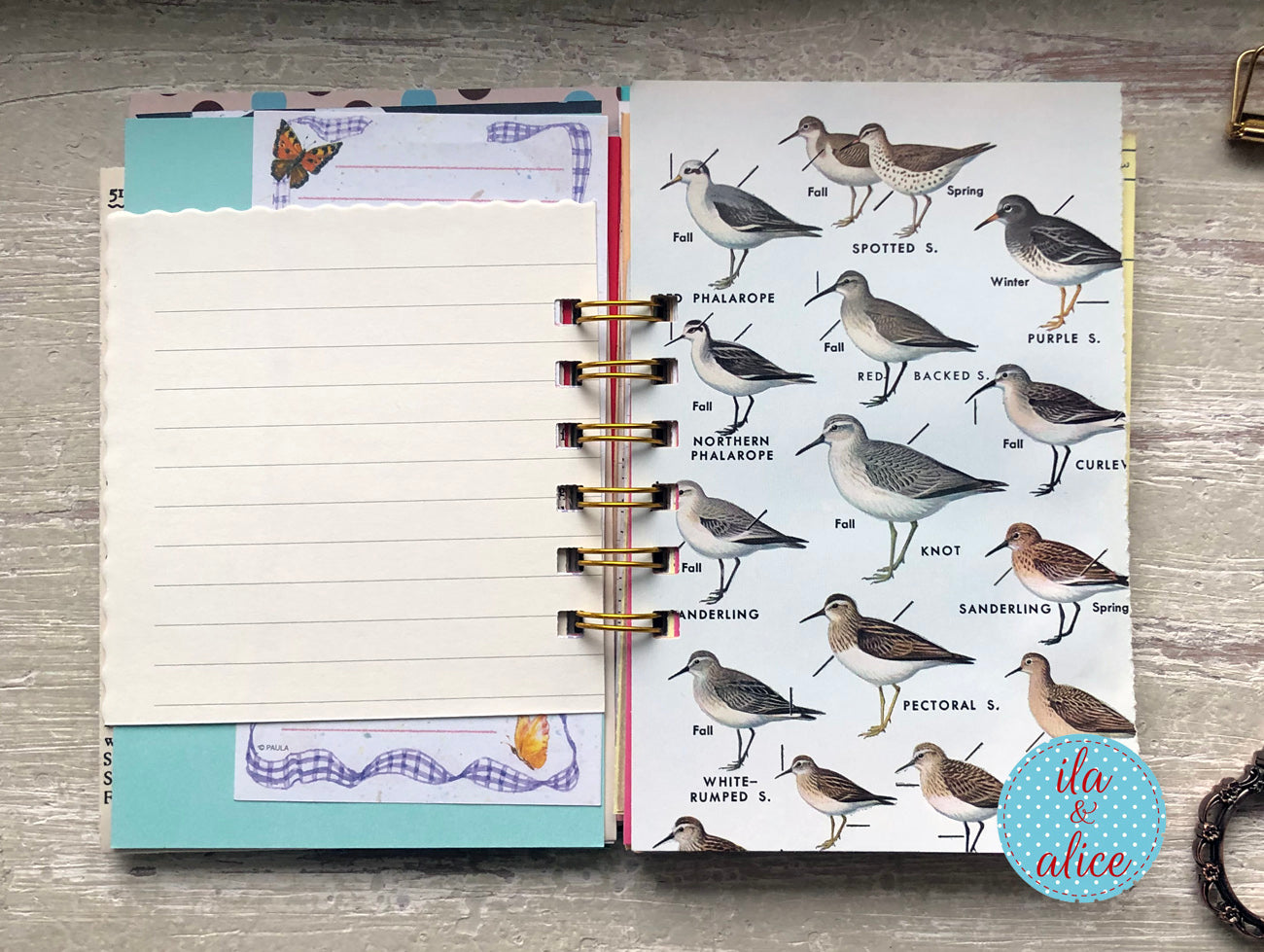 Open planner with bird illustrations on a wooden surface