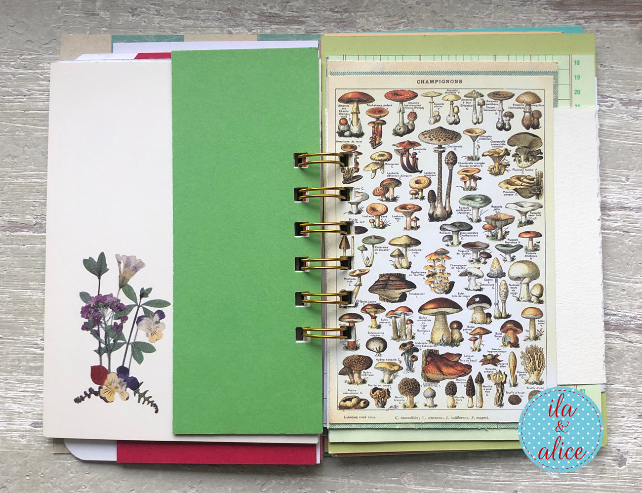 Planner with mushroom illustrations on a wooden surface