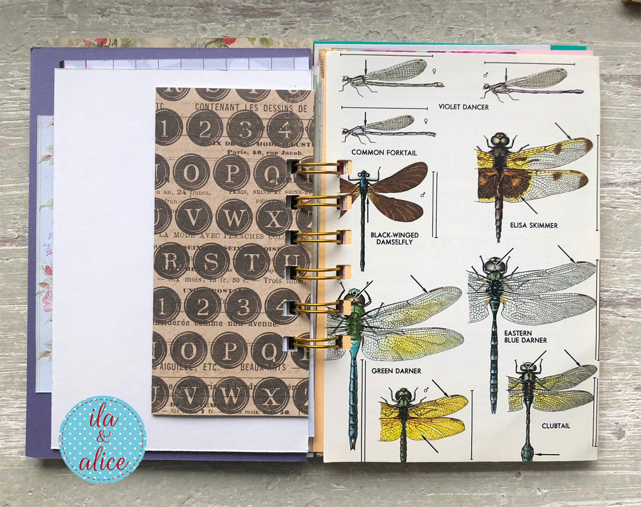 Open notebook with dragonfly illustrations and alphabet stickers on a wooden surface