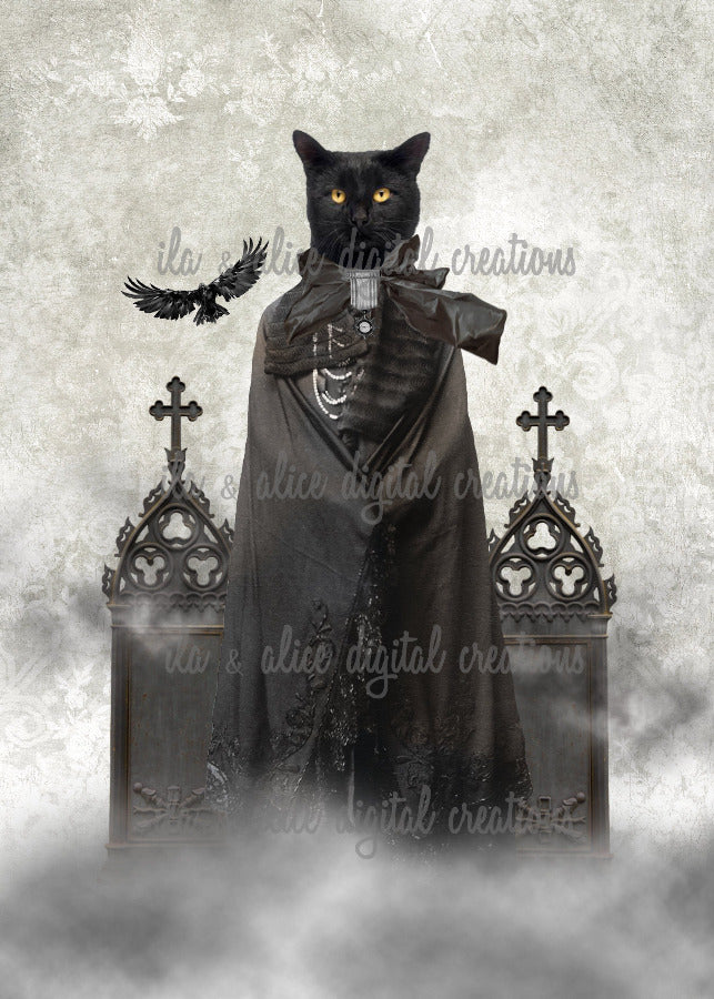 Spooky Black Cats Post Cards ila & alice 
