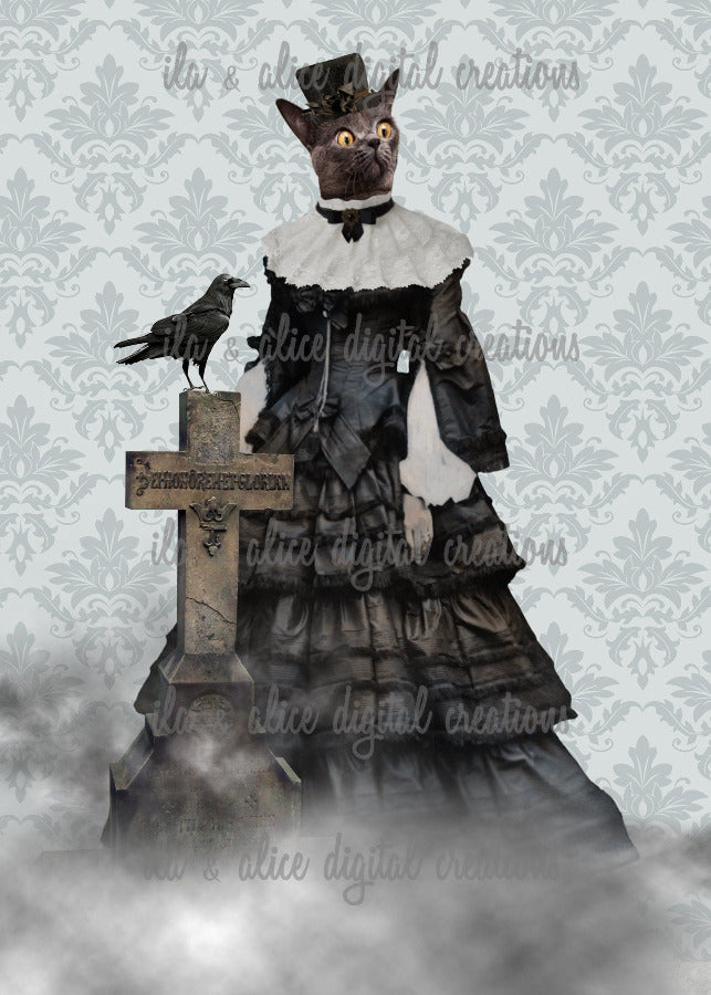 Spooky Black Cats Post Cards ila & alice 
