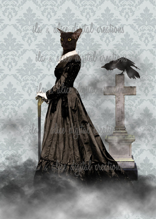 Spooky Black Cats Post Cards ila & alice 