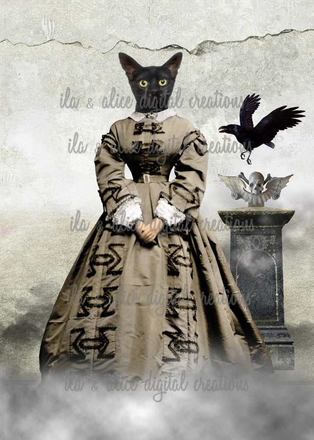 Spooky Black Cats Post Cards ila & alice 