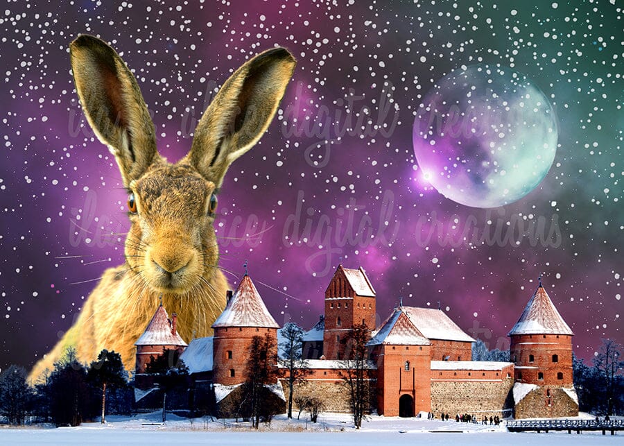 Curious Winter Places Collage Art Postcards Post Cards ila & alice 